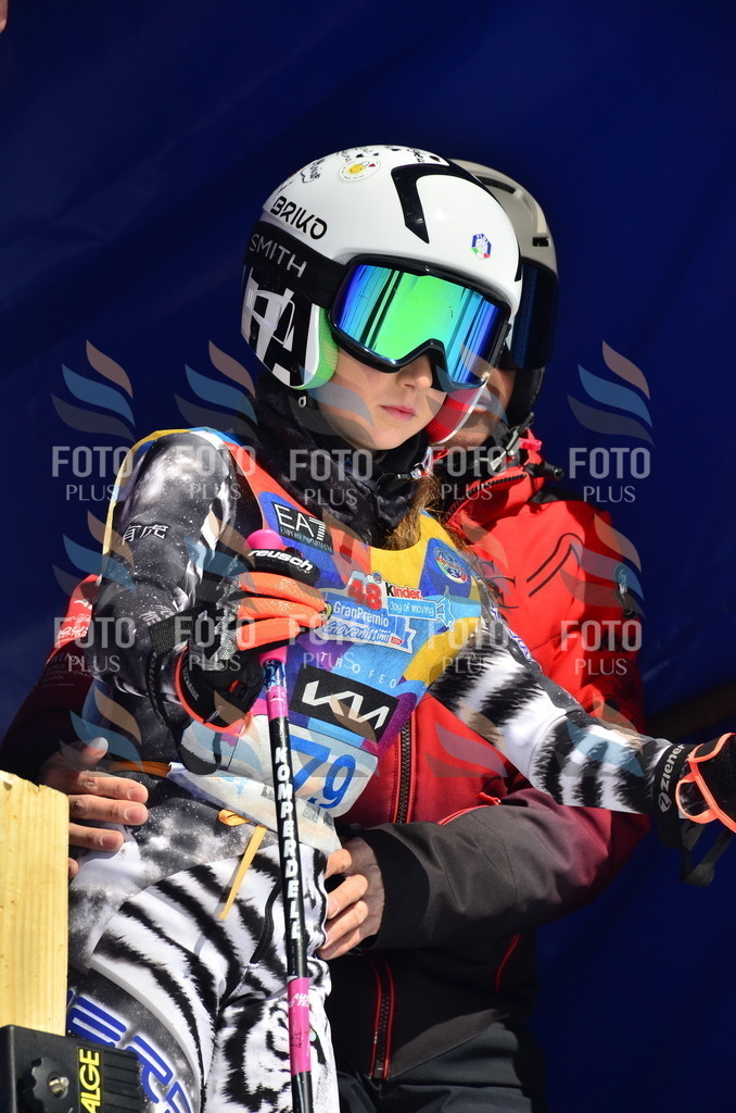 _ELE0394 | holidayphoto