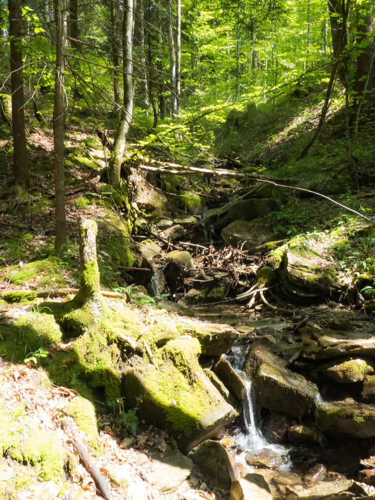 PSX_20230529_225734 | mtkfoto_ - Realisiert mit Pictrs.com