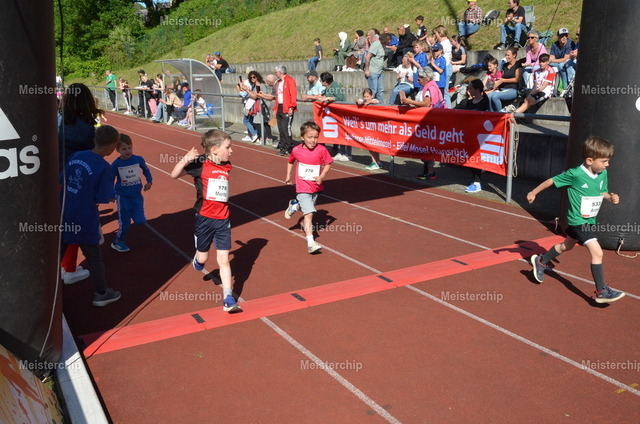 DSC_1551 | Meisterchip Fotoshop - Realisiert mit Pictrs.com