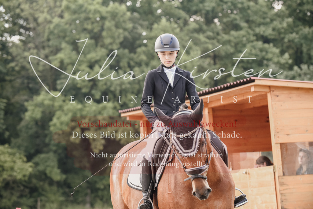 DSC_8223 | Pferde- und Turnierfotografie in Westsachsen. Pferdeportraits, Auftragszeichnungen und intuitive Kunst.