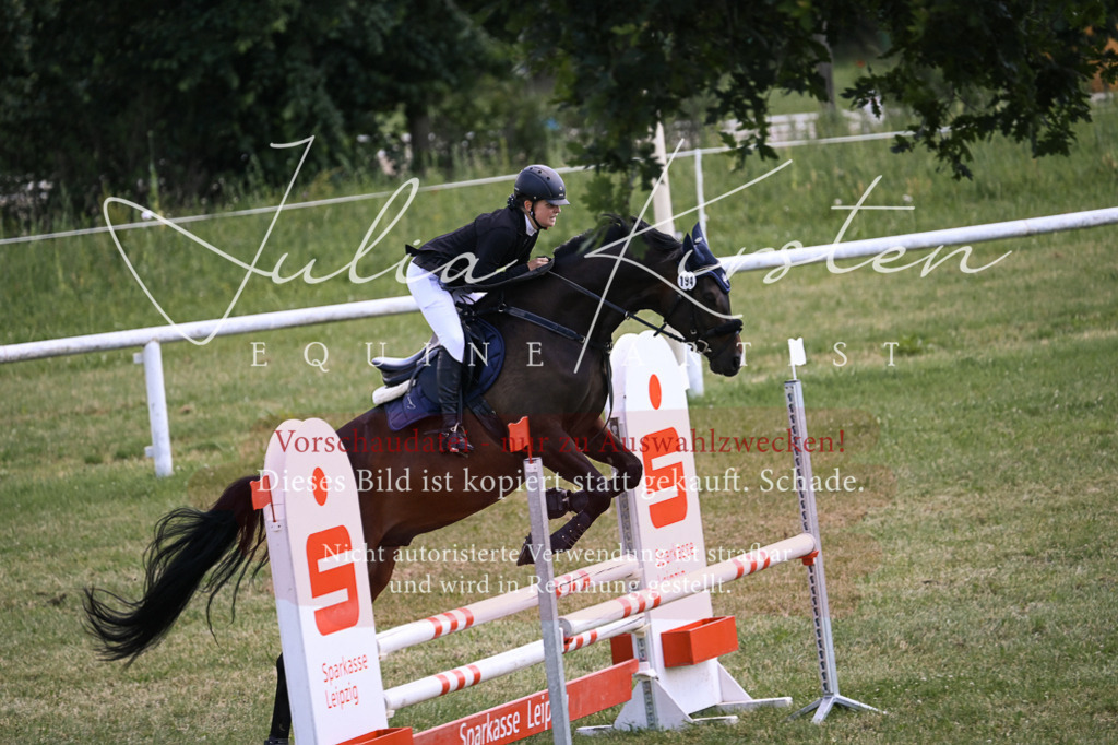 DSC_9905 | Pferde- und Turnierfotografie in Westsachsen. Pferdeportraits, Auftragszeichnungen und intuitive Kunst.