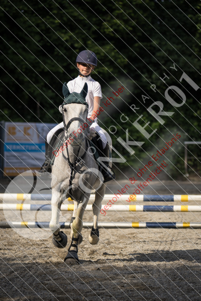 IMG_6006 | Sport-, Event- und Tierfotos in Profiqualität. Einfach auswählen, bestellen und herunterladen. Dein Moment – perfekt festgehalten.
