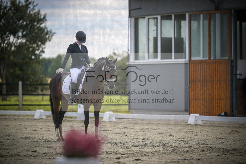 DOS_1005 | Entdecke hochwertige Reitturnierfotos von Foto Oger. Professionell, emotional und authentisch – jetzt Lieblingsmomente im Shop bestellen.Deutschlandweite Turnierfotografie. - Realisiert mit Pictrs.com