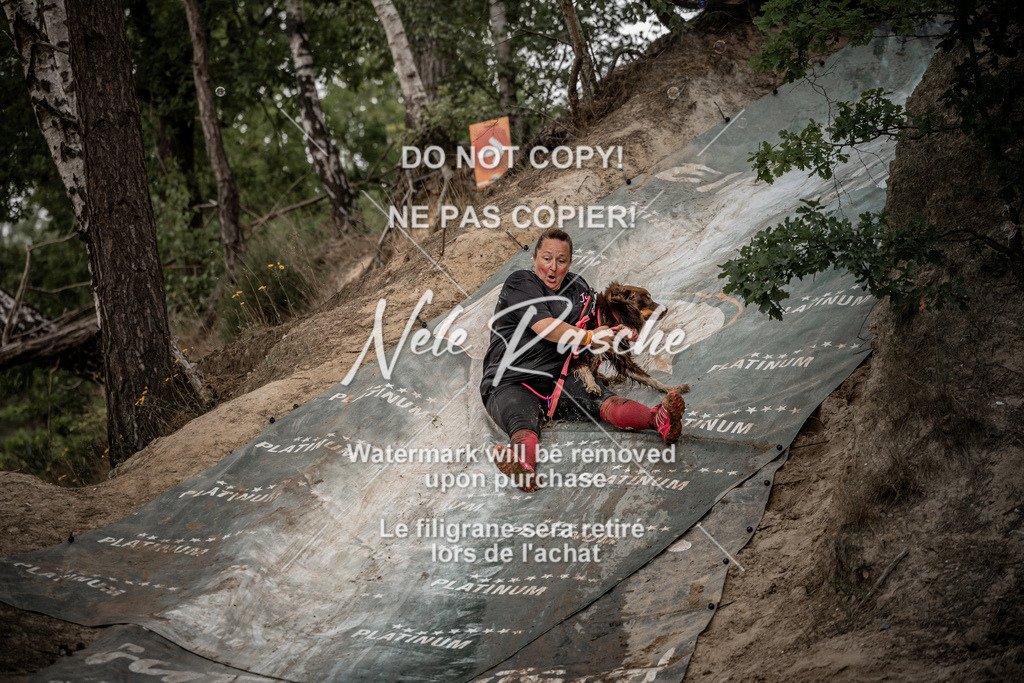nelerasche_sa1100-1200_374 | nelerasche
