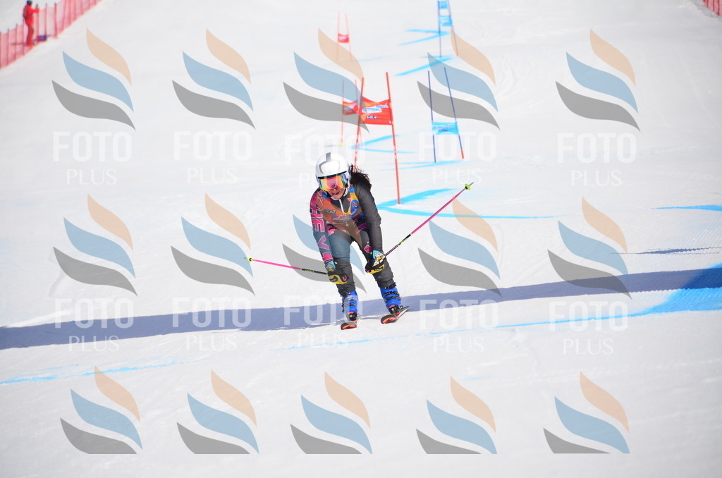 VR4_9998 | holidayphoto