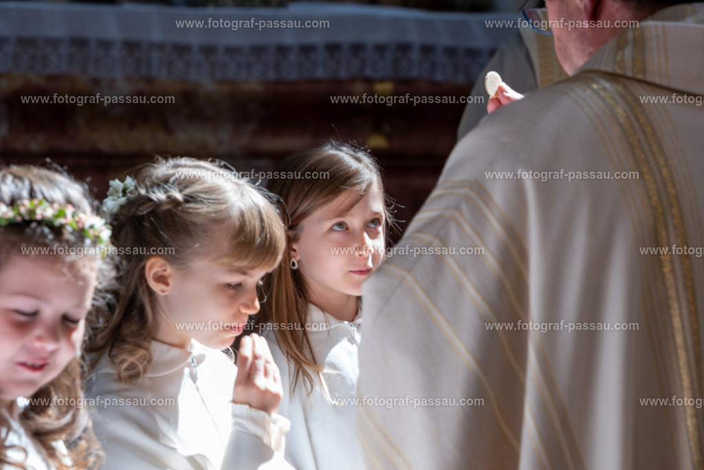 _DSC2731 | Hier finden Sie die Online Foto-Galerie von fotograf-passau.com und marius-handrugan.de. Suchen Sie sich direkt Ihre Lieblingsbilder aus, ob als Ausdruck oder Download. - Realisiert mit Pictrs.com