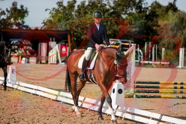 2026_10_03_Siefer-Hof_131543_Z63_77620018 | Professionelle Reitsport-, Turnier- und Eventfotografie von Robert Broda. Galerien mit ausgewählten und bearbeiteten Bildern direkt online ansehen und bestellen.