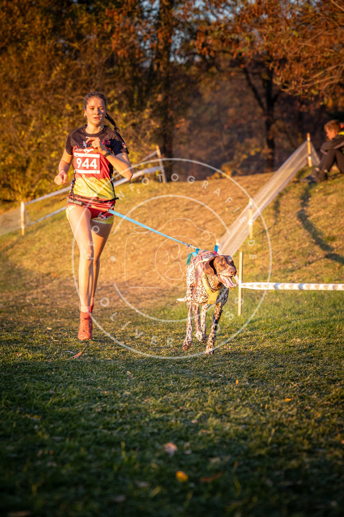 CaniXpix_0L8A1932 | Hundefotografie, Tierfotograf, Pfotenfotografie, Fotoshooting Hund, Hunde Portrait, Hundesport, Hundeportraits, Heideshooting, Hunde, Sportfotograf, Hundefotograf, Turnierhundsport, THS,  - Realisiert mit Pictrs.com