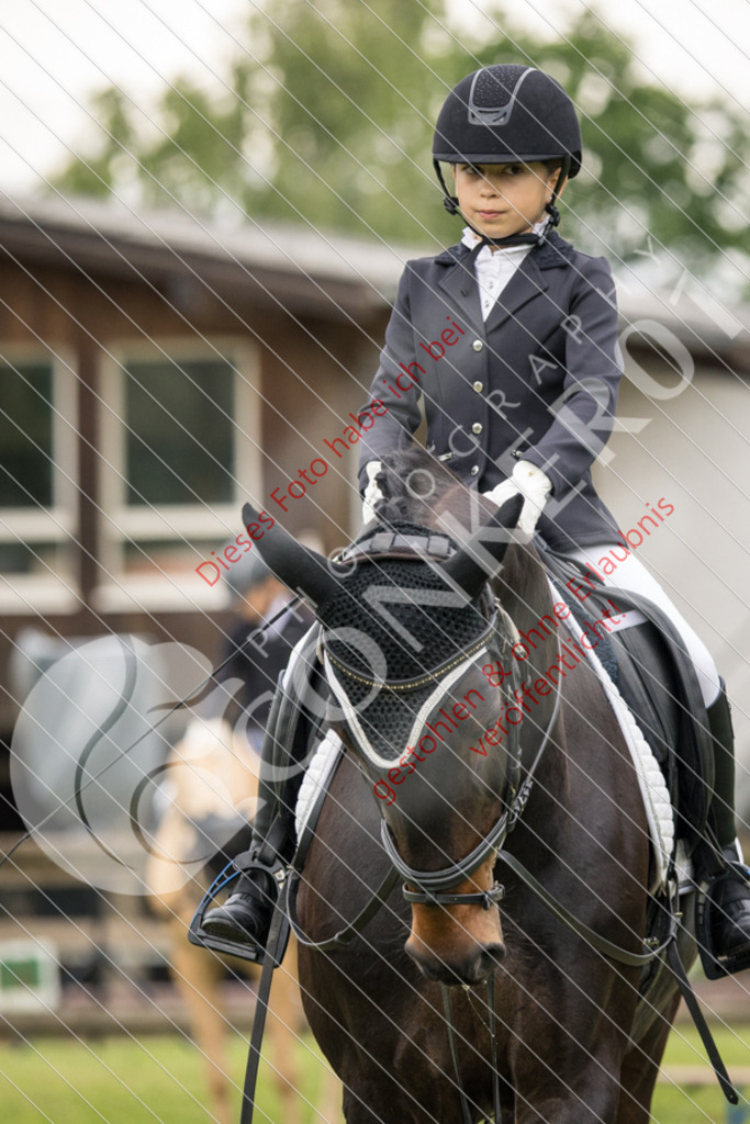 IMG_1743 | Sport-, Event- und Tierfotos in Profiqualität. Einfach auswählen, bestellen und herunterladen. Dein Moment – perfekt festgehalten.