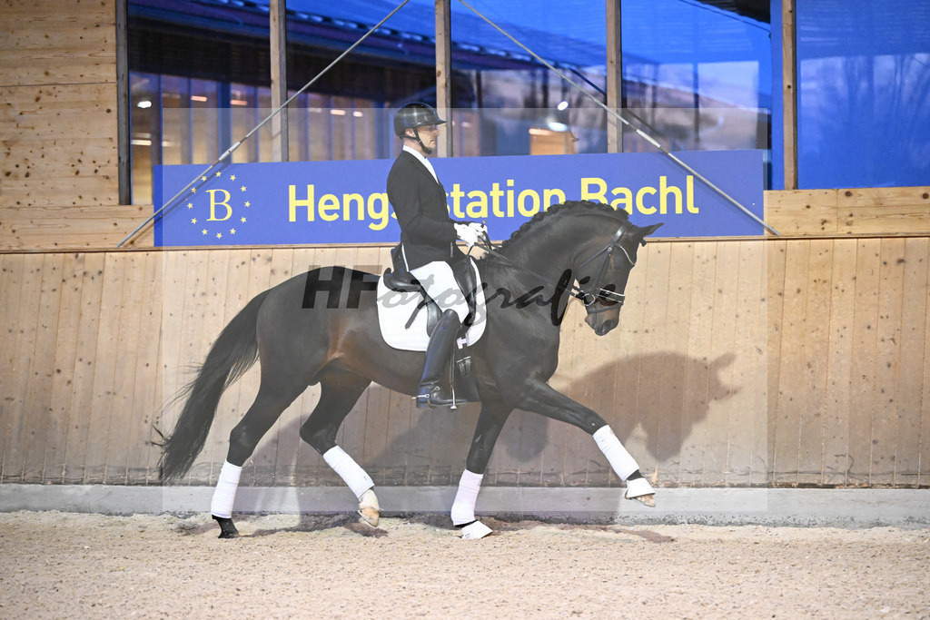 Privatier_5250894 | hf-fotografie - Realisiert mit Pictrs.com