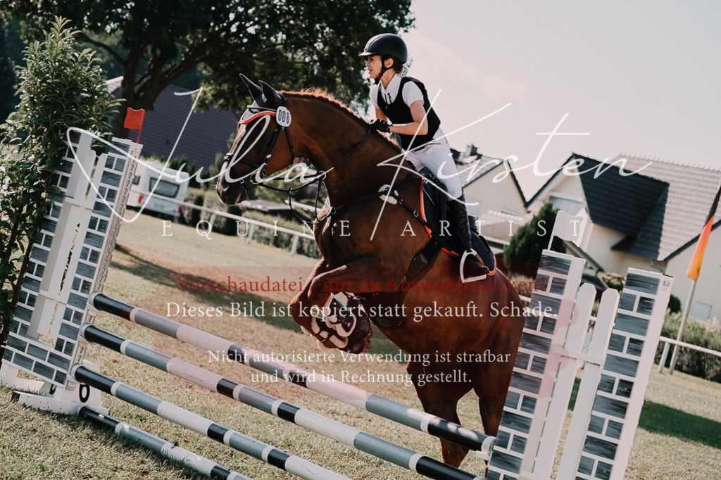 DSC_4870 | Pferde- und Turnierfotografie in Westsachsen. Pferdeportraits, Auftragszeichnungen und intuitive Kunst.