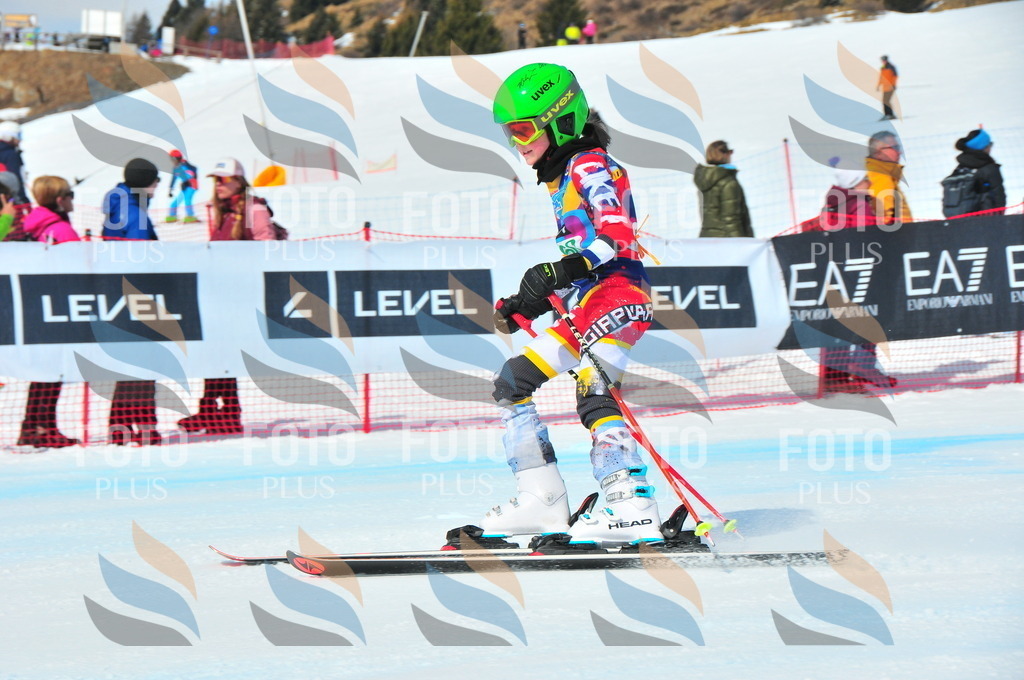 DSC_1433 | holidayphoto