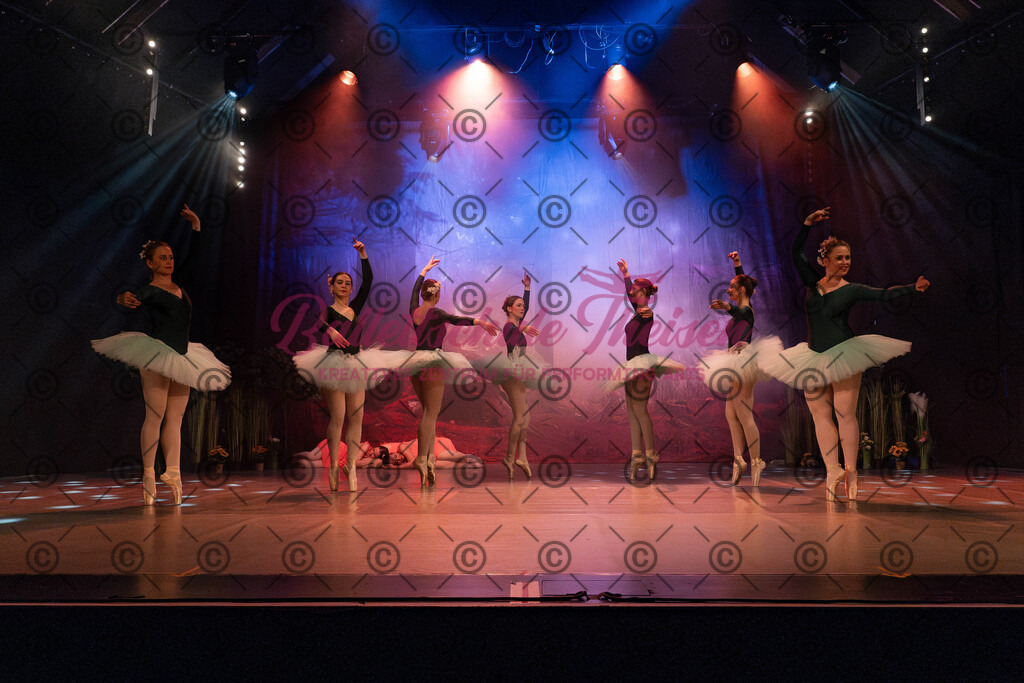 Ballettaufführung-1095 | Bildershop Lem'n Entertainment - Realisiert mit Pictrs.com