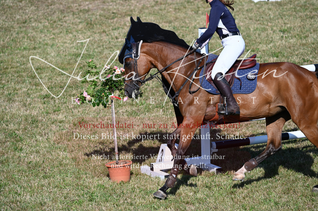 DSC_2428 | Pferde- und Turnierfotografie in Westsachsen. Pferdeportraits, Auftragszeichnungen und intuitive Kunst.