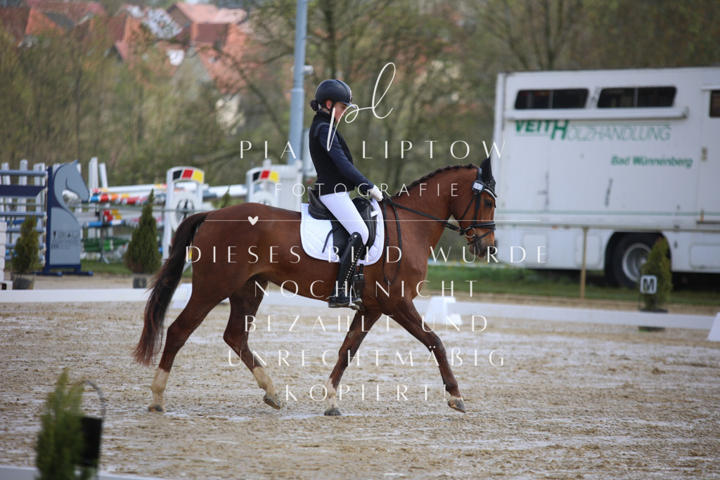 IMGT2357 | pl-fotografie