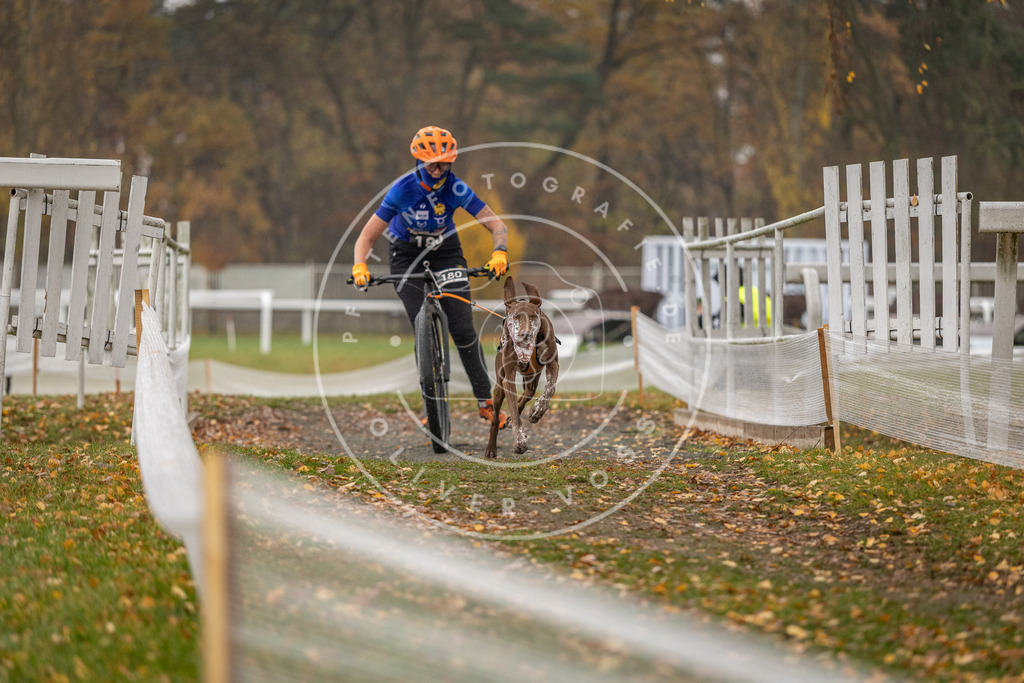 CaniXpix_DV3A8345 | Hundefotografie, Tierfotograf, Pfotenfotografie, Fotoshooting Hund, Hunde Portrait, Hundesport, Hundeportraits, Heideshooting, Hunde, Sportfotograf, Hundefotograf, Turnierhundsport, THS,  - Realisiert mit Pictrs.com