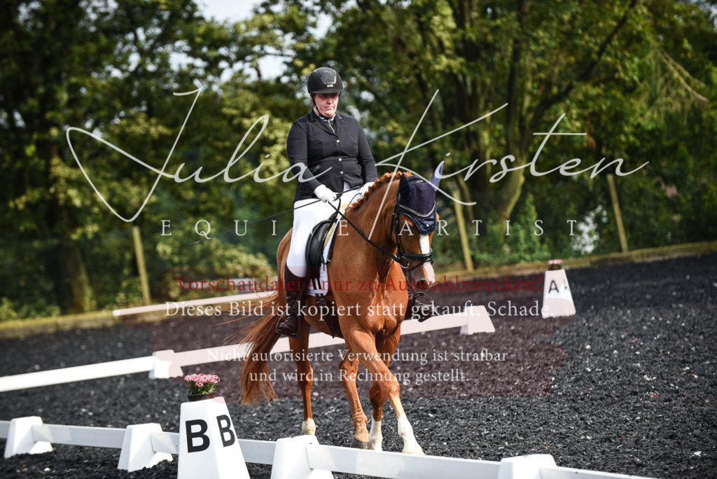 DSC_3051 | Pferde- und Turnierfotografie in Westsachsen. Pferdeportraits, Auftragszeichnungen und intuitive Kunst.
