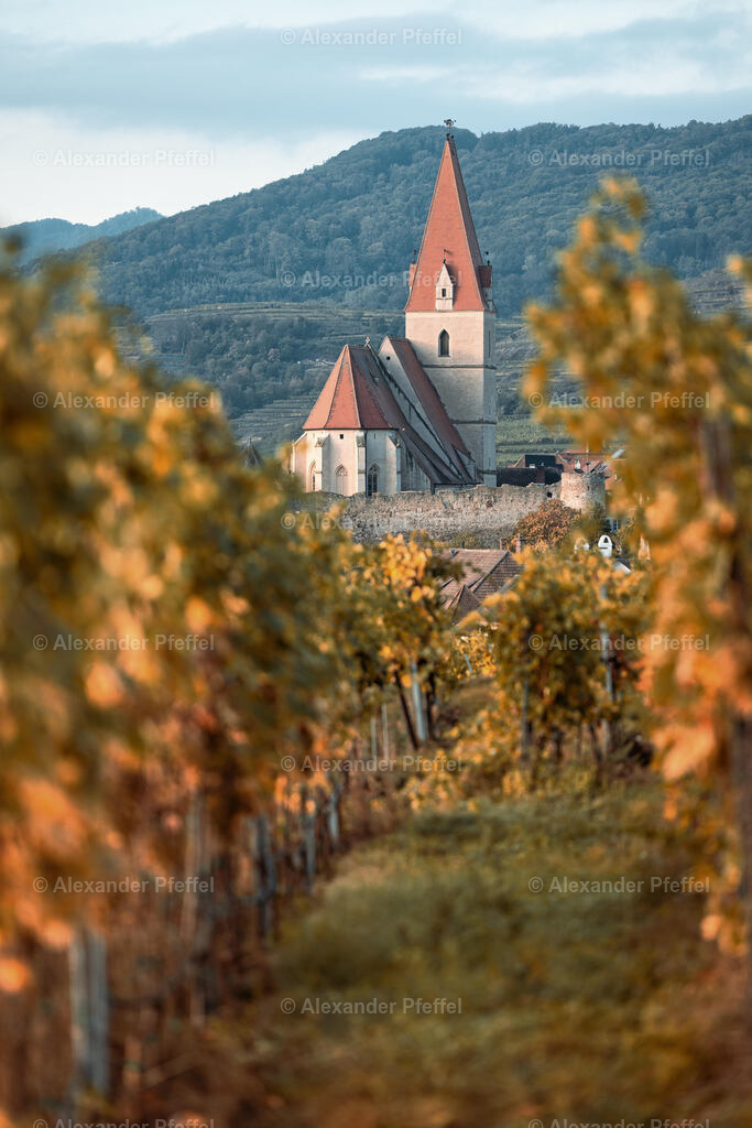 foto_c_pfeffel-partner-0054-R52_0022-Bearbeitet-2 | alexander-pfeffel - Realisiert mit Pictrs.com