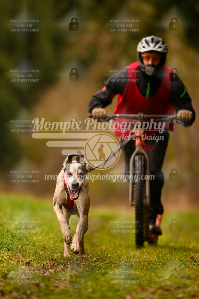 MompixPhotography_2SSTSSBW_2025_SO_Scooter-16 | PayLife