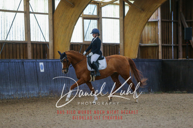 IMG_0053 | Deine Turnierfotos vom Reitturnier online kaufen: Dressur, Springen & Siegerehrung. Professionelle Pferdefotografie aus dem Rheinland – als Download & Print.Alternative: Turnierfotograf für den Pferdesport: Finde deine Fotos von Dressur- und Springturnier