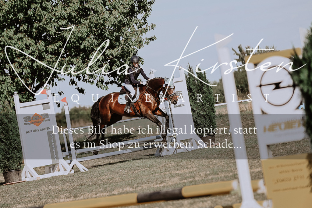 DSC_9396 | Pferde- und Turnierfotografie in Westsachsen. Pferdeportraits, Auftragszeichnungen und intuitive Kunst.