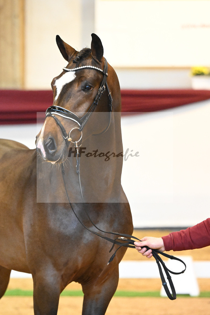 Kat-Nr. 59 v. Zalando_Kuntz_66222216 | hf-fotografie - Realisiert mit Pictrs.com