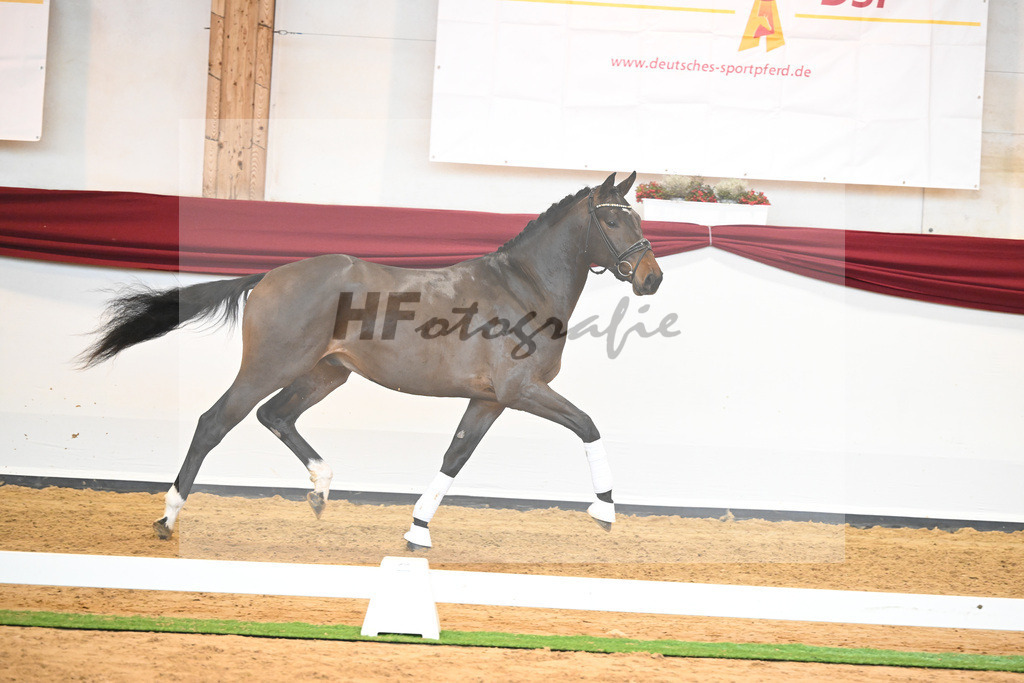 Kat-Nr. 43 v. Mykonos_Sommer_66220962 | hf-fotografie - Realisiert mit Pictrs.com