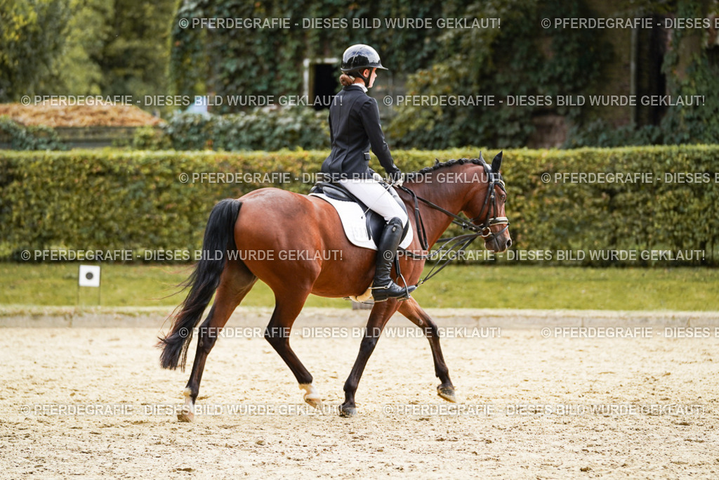 DSC00846 | Pferdegrafie