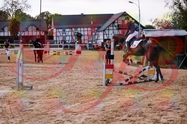 2026_10_03_Siefer-Hof_145939_Z81_42086285 | Professionelle Reitsport-, Turnier- und Eventfotografie von Robert Broda. Galerien mit ausgewählten und bearbeiteten Bildern direkt online ansehen und bestellen.