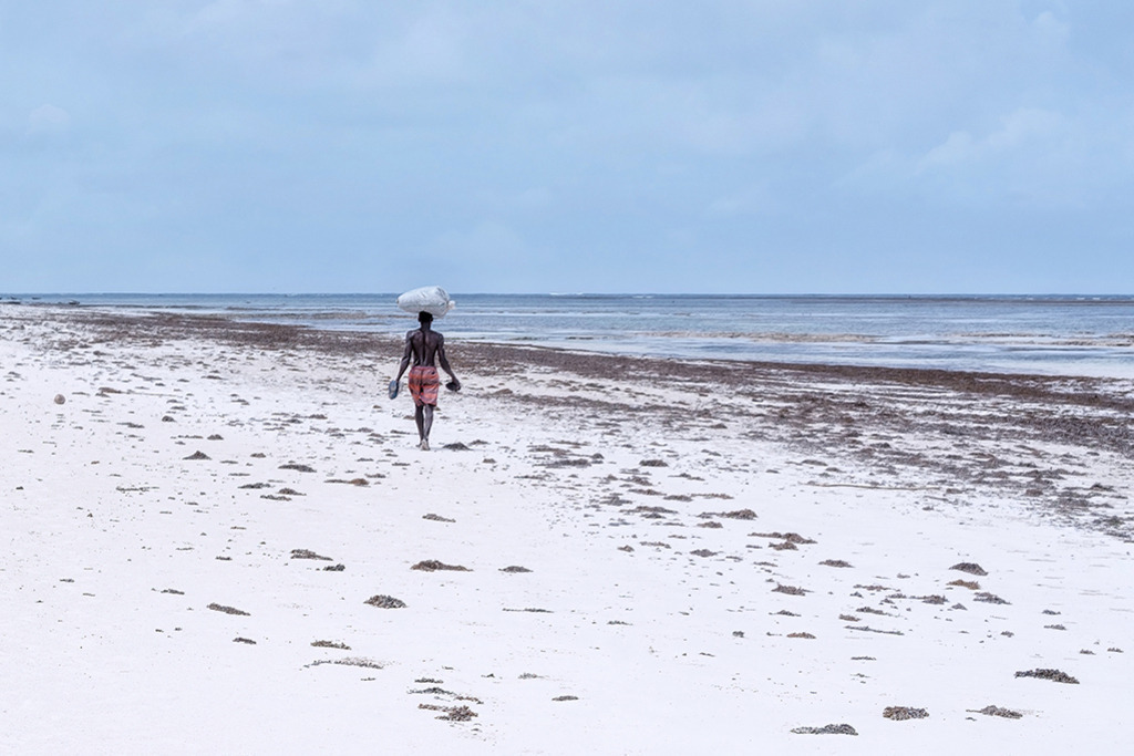 Sandstrand am Indischen Ozean | Kenia | Premium-Wandbild von justsomewhere.com: Eine weitläufige Landschaftsaufnahme eines hellen Sandstrandes in Kenia am Indischen Ozean, auf dem eine Person von hinten zu sehen ist, die eine Last auf dem Kopf trägt. - Realisiert mit Pictrs.com