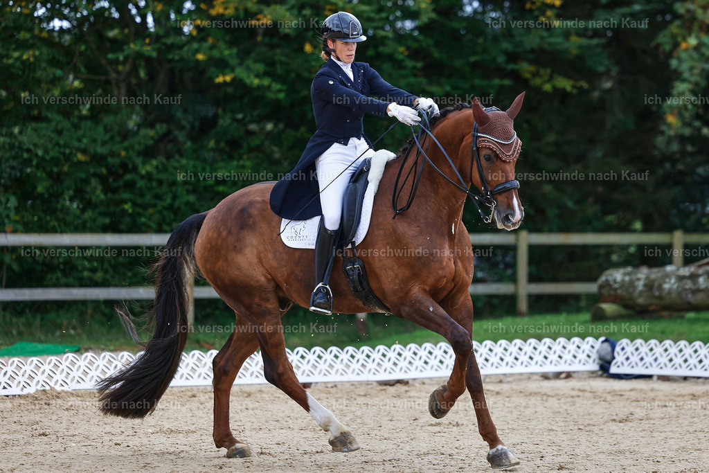 8_1-085-Klasse S_  -StoibPH-3827 | working equitationturnier fotograf videograf stoibphotography marixx film working equitation deutschland reitsport turnierfotografie eventfotografie equestrian events