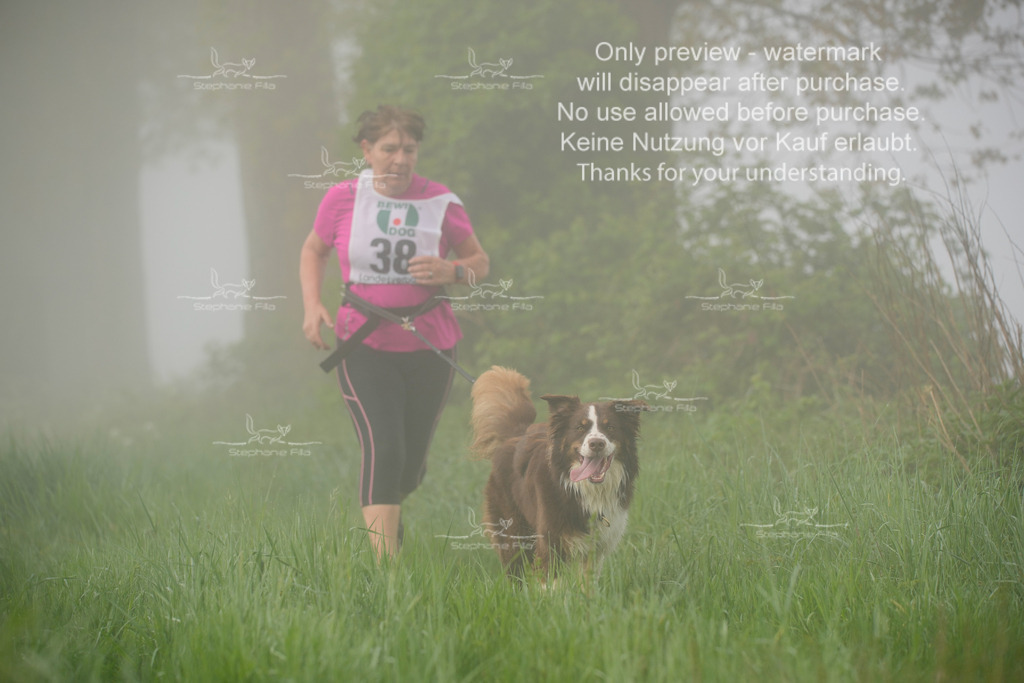 SA_GL2-233 | stephaniefillaphotographie - Realisiert mit Pictrs.com