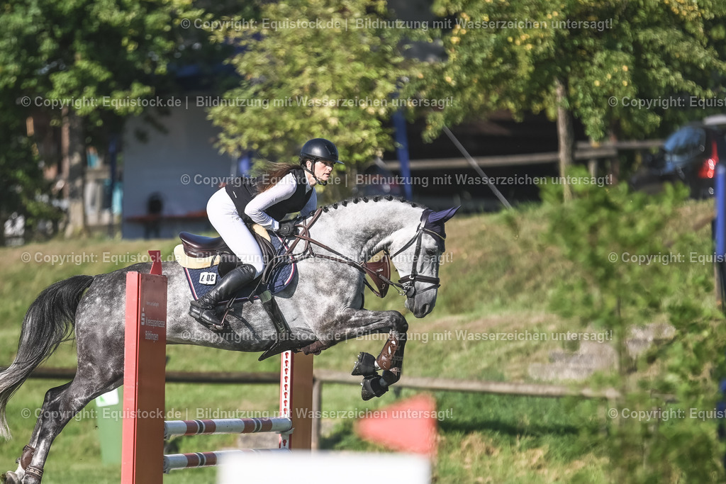 20230908_14-15_Springpferde-A_0075 | equistock