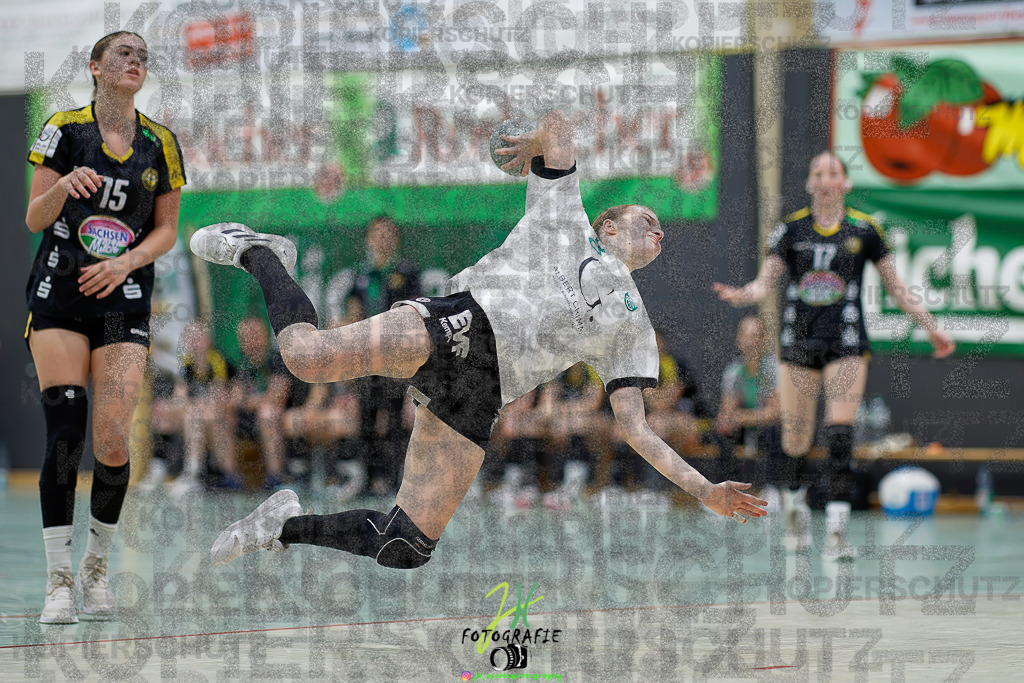 Quali-Turnier JBL wJA; Frisch Auf Göppingen - HC Rödertal | Quali-Turnier JBL wJA; Frisch Auf Göppingen - HC Rödertal am 31.05.2025 in Oberkleen (Weidig-Halle)Photo © 2025 - Jörg Heinrich - Realisiert mit Pictrs.com