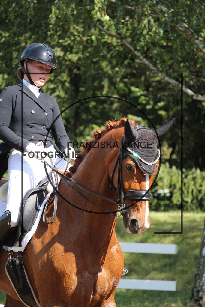 IMG_6963 | franziskalange - Realisiert mit Pictrs.com