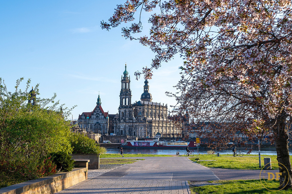 9485-DOM-DD-Blüten-View. | Geschenke, Wandbilder und Accessoires mit Motiven aus Dresden und anderen schönen Orten zur Verschönerung Deines zu Hauses und zum verschenken gewünscht? Wähle Deine Lieblingsbild auf dem Produkt Deiner Wahl. 