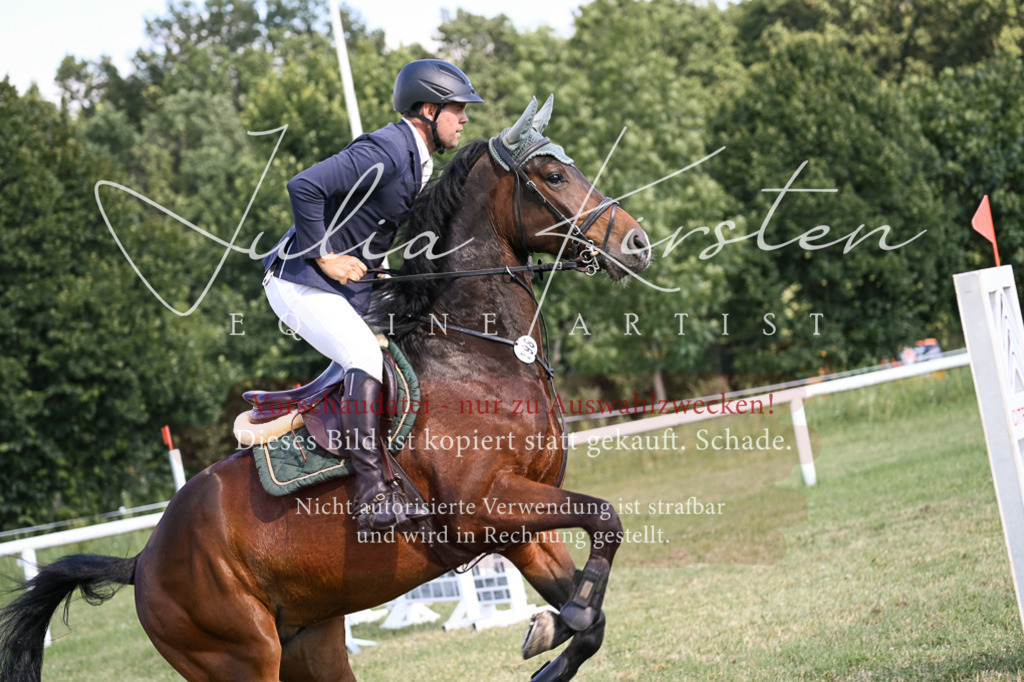 DSC_1407 | Pferde- und Turnierfotografie in Westsachsen. Pferdeportraits, Auftragszeichnungen und intuitive Kunst.