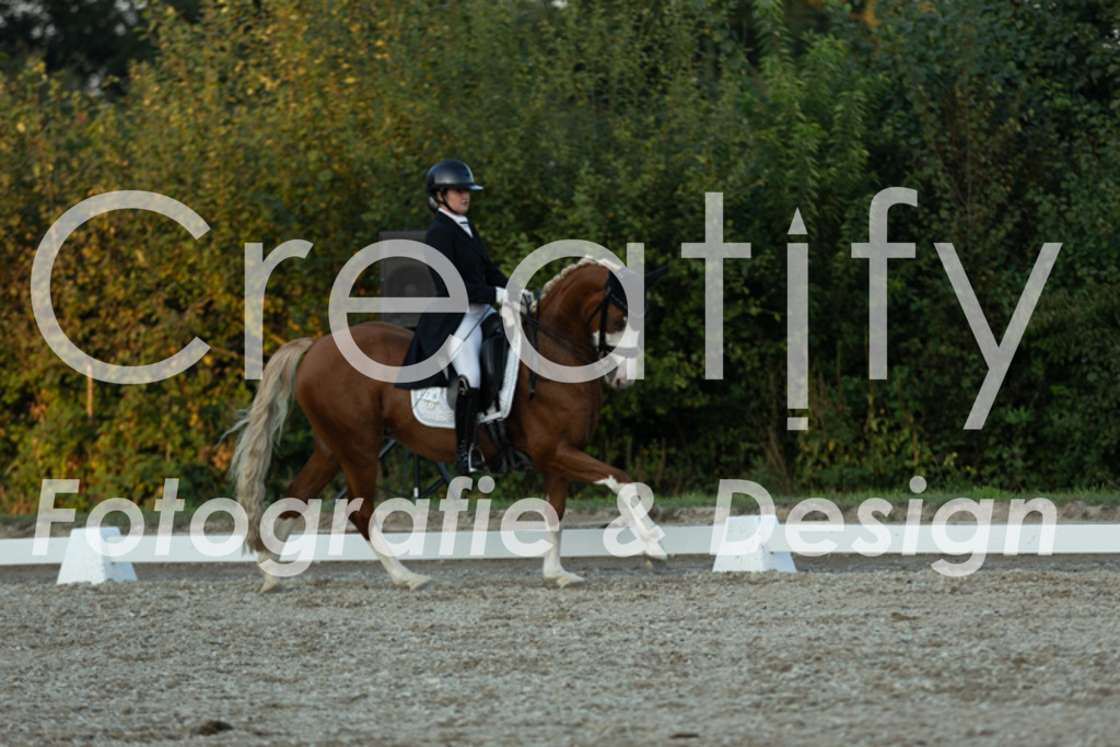 IMG_7644 | Creatify Fotografie