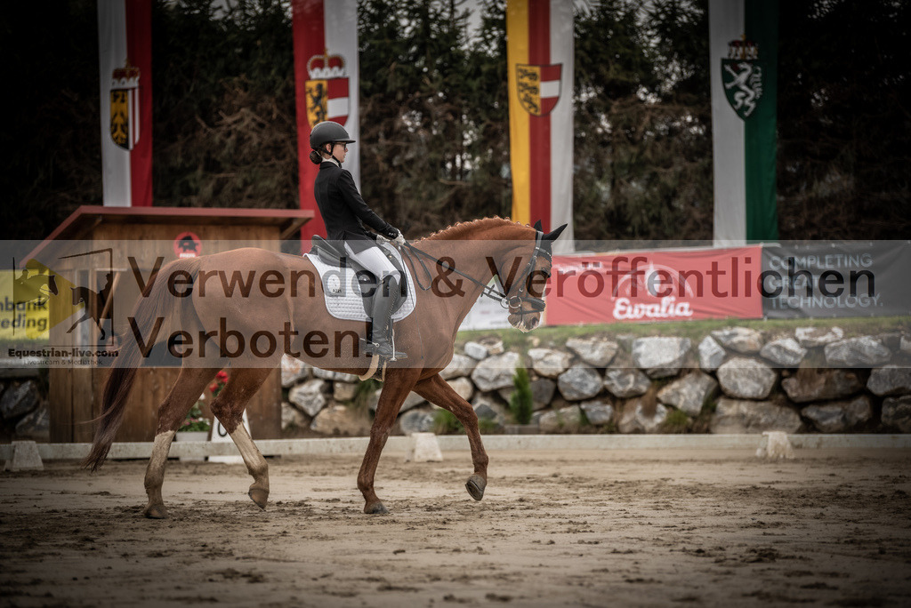 DSC_0148 | equestrian-live-com