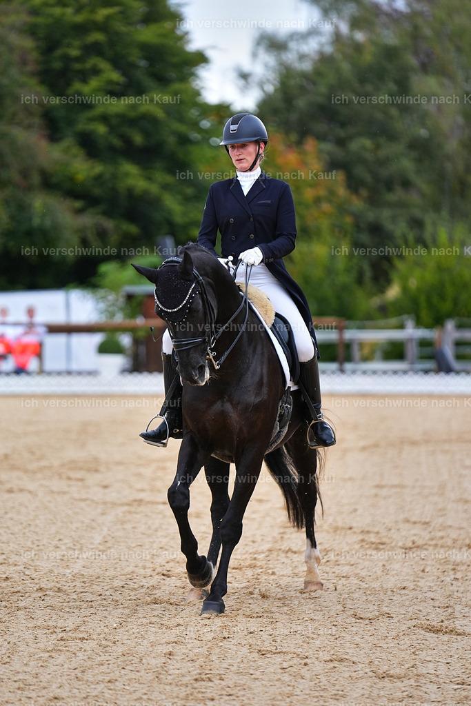 8_1-077-Klasse S_  -Marixx-4071 | working equitationturnier fotograf videograf stoibphotography marixx film working equitation deutschland reitsport turnierfotografie eventfotografie equestrian events