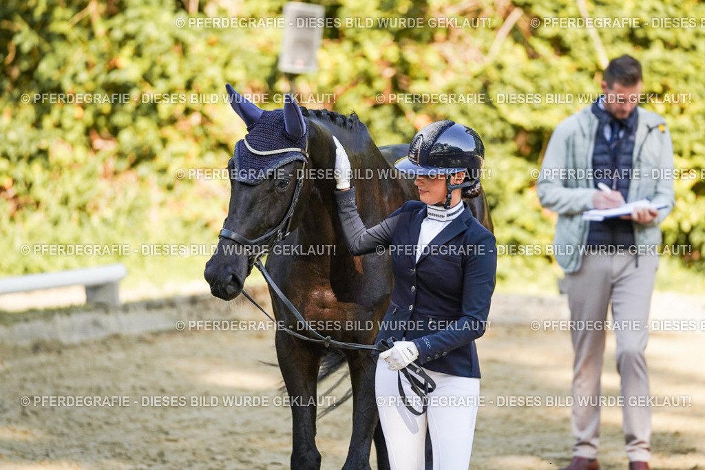 DSC06527 | Pferdegrafie