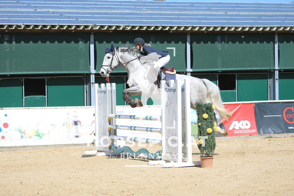 DL2Q0222 | Willkommen bei Brunnmayr - Design & Fotografie – Ihrem Spezialisten für Reitturniere und Pferdeveranstaltungen in Oberösterreich, Salzburg und Bayern! Seit über 17 Jahren sind wir leidenschaftlich dabei.