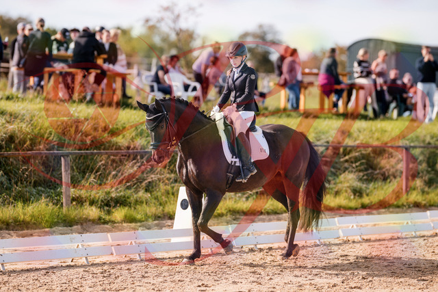 2026_10_03_Siefer-Hof_121334_Z81_13853526 | Professionelle Reitsport-, Turnier- und Eventfotografie von Robert Broda. Galerien mit ausgewählten und bearbeiteten Bildern direkt online ansehen und bestellen.
