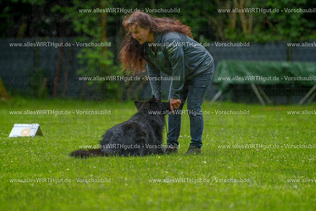 @allesWIRTHgut_Tierfotografie - www.allesWIRTHgut.de - 7R501751 | Professionelle Tierfotografie in Mönchengladbach von Daniel Wirth (allesWIRTHgut). Liebevolle & natürliche Bilder von Hunden & Katzen für unvergessliche Erinnerungen.