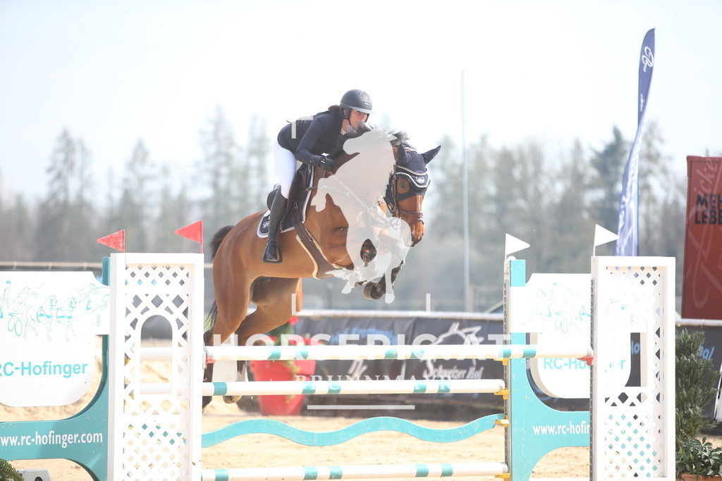 PP013790 | Willkommen bei Brunnmayr - Design & Fotografie – Ihrem Spezialisten für Reitturniere und Pferdeveranstaltungen in Oberösterreich, Salzburg und Bayern! Seit über 17 Jahren sind wir leidenschaftlich dabei.