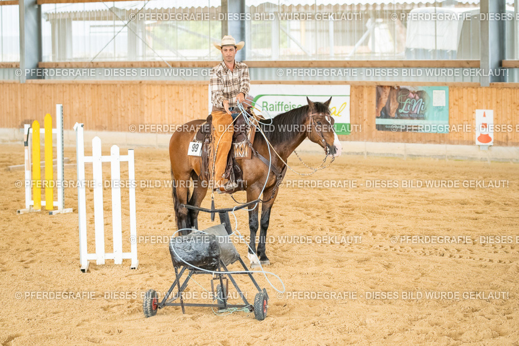 DSC07231 | Pferdegrafie