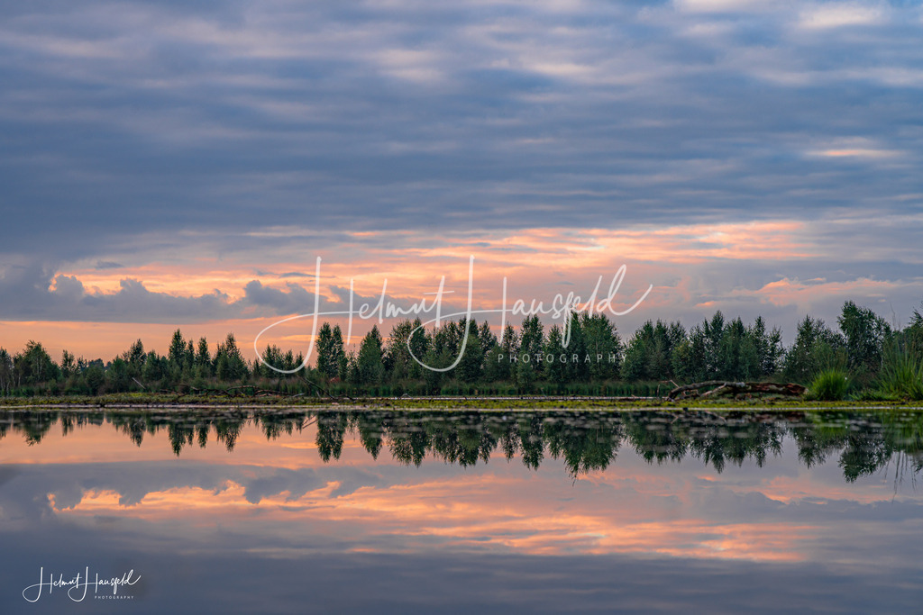 DSC01381 | Landschaftsfotografie, Naturfotografie - Realisiert mit Pictrs.com