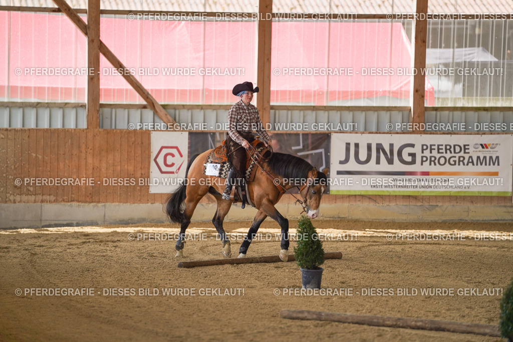 DSC06939 | Pferdegrafie