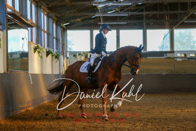 IMG_3309 | Turniersportfotografie; Pferdefotografie; Dressurfotografie