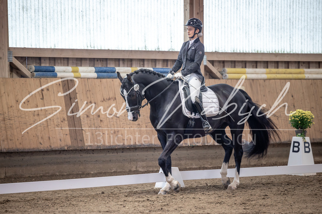20251011-_3LI9354 | Tierfotografie Pferde, Hunde, Katzen, Haustiere.
Turnierfotografie Reitturniere, Reiten, Springreiten, Dressur in Hanau, dem Main-Kinzig-Kreis und dem Rhein-Main- Gebiet um Frankfurt